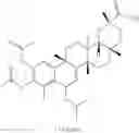 Fig. 220 - Analogs of celastrol