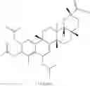 Fig. 222 - Analogs of celastrol