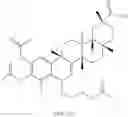 Fig. 229 - Analogs of celastrol