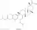 Fig. 240 - Analogs of celastrol
