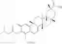 Fig. 243 - Analogs of celastrol