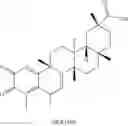 Fig. 249 - Analogs of celastrol