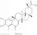 Fig. 250 - Analogs of celastrol