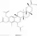 Fig. 254 - Analogs of celastrol