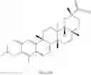 Fig. 263 - Analogs of celastrol