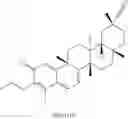 Fig. 265 - Analogs of celastrol