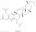 Fig. 267 - Analogs of celastrol