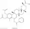 Fig. 273 - Analogs of celastrol