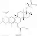 Fig. 281 - Analogs of celastrol
