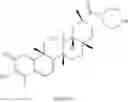 Fig. 285 - Analogs of celastrol