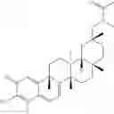 Fig. 292 - Analogs of celastrol