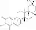 Fig. 307 - Analogs of celastrol