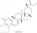 Fig. 312 - Analogs of celastrol