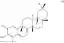 Fig. 325 - Analogs of celastrol