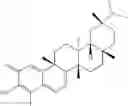 Fig. 33 - Analogs of celastrol