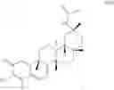 Fig. 38 - Analogs of celastrol