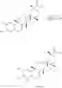 Fig. 54 - Analogs of celastrol