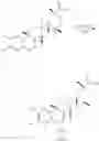 Fig. 59 - Analogs of celastrol