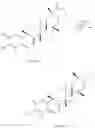 Fig. 90 - Analogs of celastrol