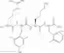 Fig. 28 - AROMATIC-CATIONIC PEPTIDES AND USES OF SAME