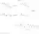 Fig. 303 - Anthelmintic depsipeptide compounds