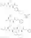 Fig. 348 - Anthelmintic depsipeptide compounds