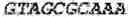 Fig. 04 - Virus-like particle with efficient epitope display