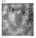 Fig. 08 - Virus-like particle with efficient epitope display