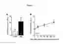 Fig. 02 - Methods and compositions for improving glucose metabolism