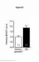 Fig. 07 - Methods and compositions for improving glucose metabolism