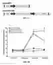Fig. 02 - Compositions and methods for treating opioid tolerance