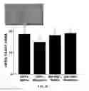 Fig. 09 - Compositions and methods for treating opioid tolerance