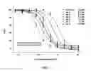 Fig. 02 - PACAP antibodies and uses thereof