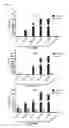 Fig. 09 - Means and methods for treating HBV infection and associated conditions