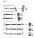 Fig. 02 - Single chain fusionconstructs comprising multimeric antibody fragments fused to collagen trimerization domains
