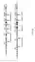 Fig. 08 - ADAM6 mice