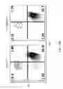 Fig. 35 - ADAM6 mice