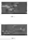 Fig. 02 - Waterborne heat-insulation coating and composition thereof