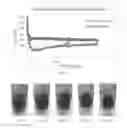Fig. 07 - Compositions And Methods For Treating Subterranean Formations