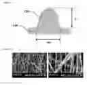 Fig. 03 - Nanofiber structure for cell culture, method for manufacturing the nanofiber structure, and cell analysis device including the nanofiber structure