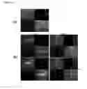 Fig. 10 - Nanofiber structure for cell culture, method for manufacturing the nanofiber structure, and cell analysis device including the nanofiber structure