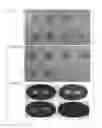 Fig. 01 - Methods of using strains for protecting animals from pathogenic bacterial infection