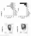 Fig. 33 - Human T cell derived from T cell-derived induced pluripotent stem cell and methods of making and using