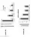 Fig. 40 - Human T cell derived from T cell-derived induced pluripotent stem cell and methods of making and using