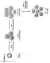 Fig. 46 - Human T cell derived from T cell-derived induced pluripotent stem cell and methods of making and using