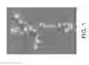 Fig. 02 - DIFFERENTIATION OF PLURIPOTENT STEM CELLS AND CARDIAC PROGENITOR CELLS INTO STRIATED CARDIOMYOCYTE FIBERS USING LAMININS LN-511, LN-521 AND LN-221