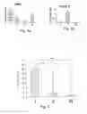 Fig. 08 - Human cardiovascular progenitor cells