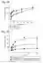 Fig. 08 - A renal cell line with stable transporter expression