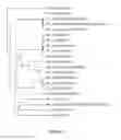 Fig. 02 - Zika virus purification