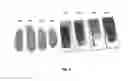 Fig. 02 - RuBisCO Protein-Based Films